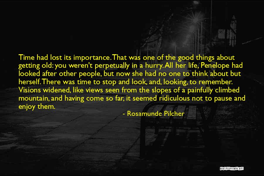 Getting In A Hurry Quotes By Rosamunde Pilcher