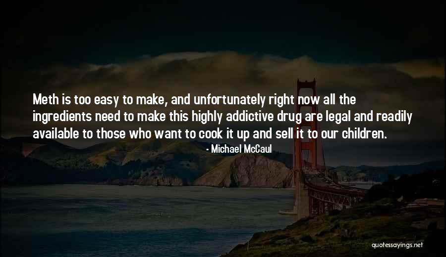 Getting Involved In Politics Quotes By Michael McCaul Getting Involved In Politics Quotes By Michael McCaul