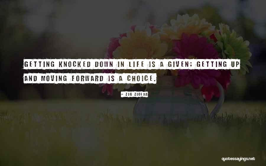 Getting Knocked Down And Getting Up Quotes By Zig Ziglar