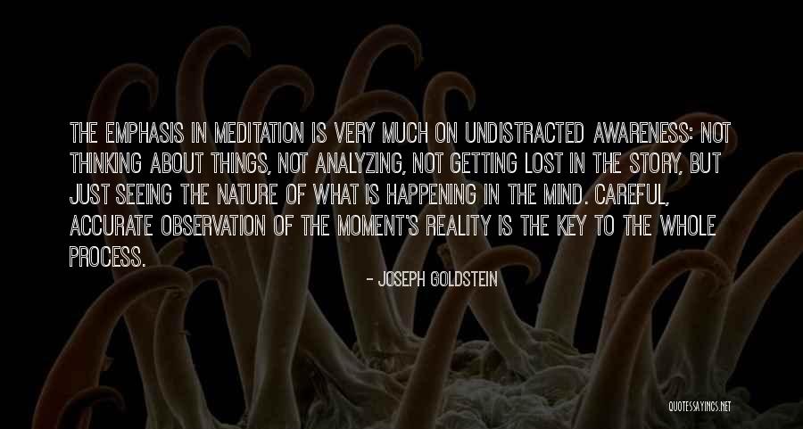 Getting Lost In The Moment Quotes By Joseph Goldstein