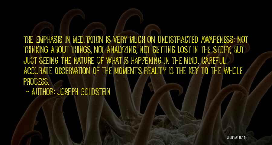 Getting Lost In Your Mind Quotes By Joseph Goldstein