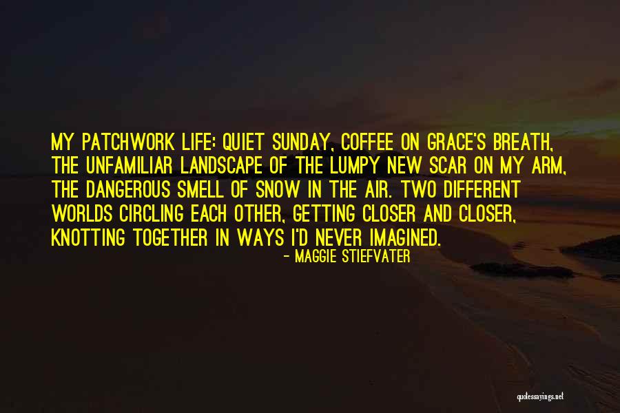 Getting My Life Together Quotes By Maggie Stiefvater Getting My Life Together Quotes By Maggie Stiefvater