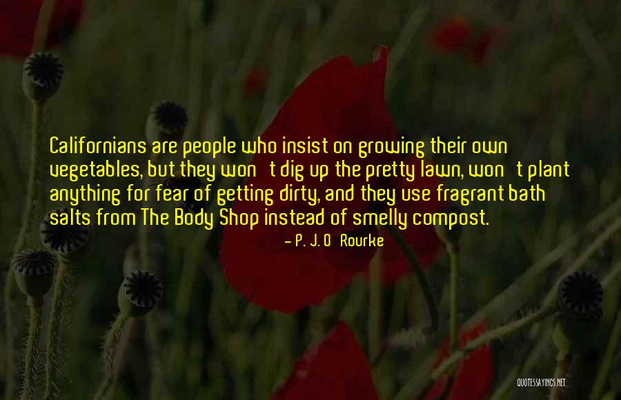 Getting Over Fear Quotes By P. J. O'Rourke