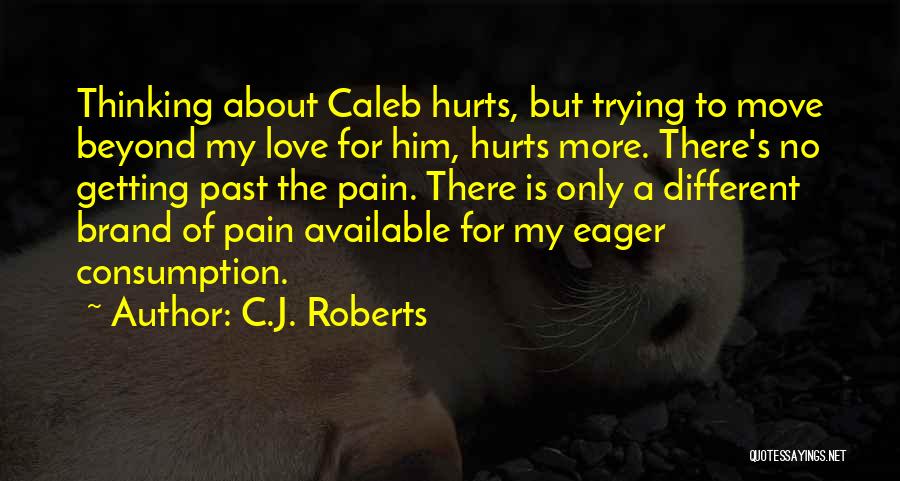 Getting Over Past Hurts Quotes By C.J. Roberts