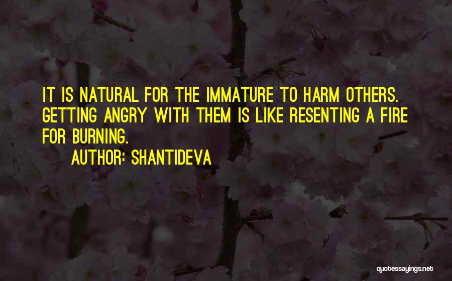 Getting Over Self Harm Quotes By Shantideva