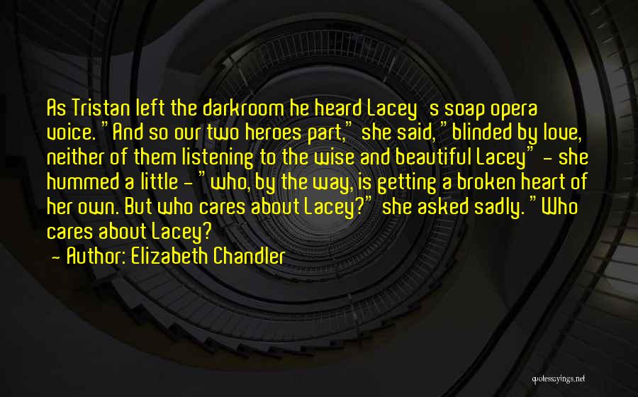 Getting Over Someone You Love Quotes By Elizabeth Chandler