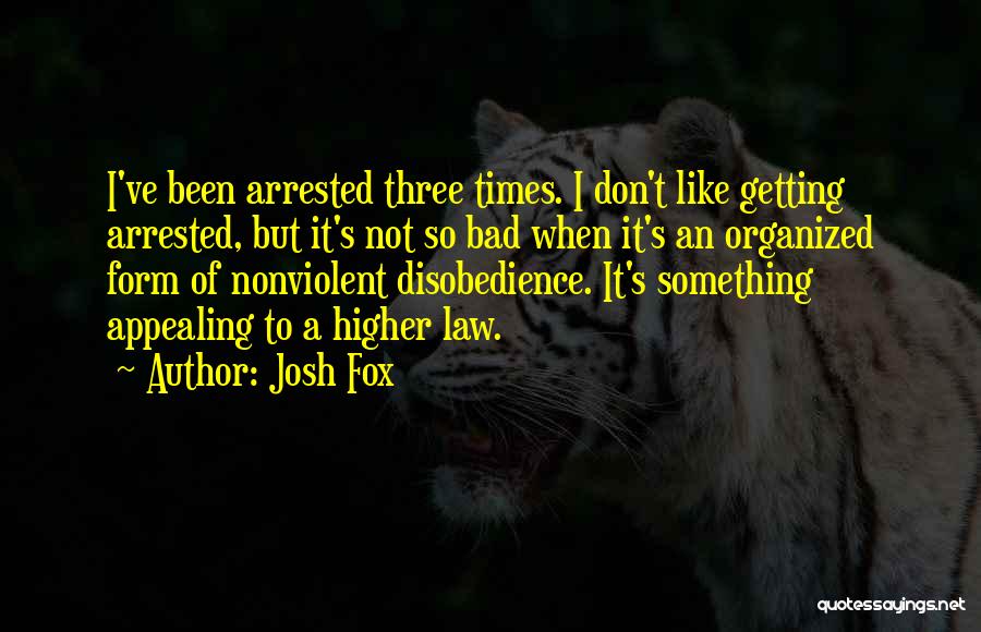 Getting Past Bad Times Quotes By Josh Fox