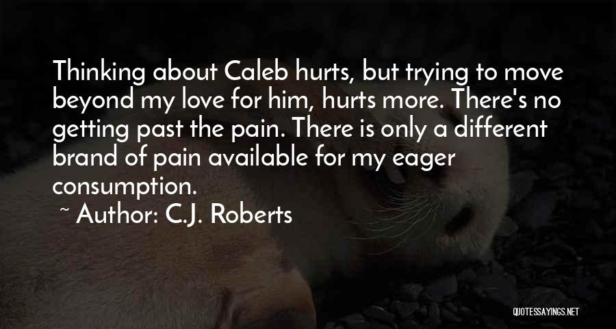 Getting Past Pain Quotes By C.J. Roberts