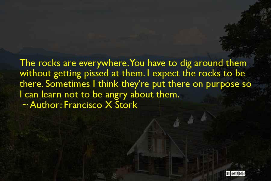 Getting Pissed Off Quotes By Francisco X Stork