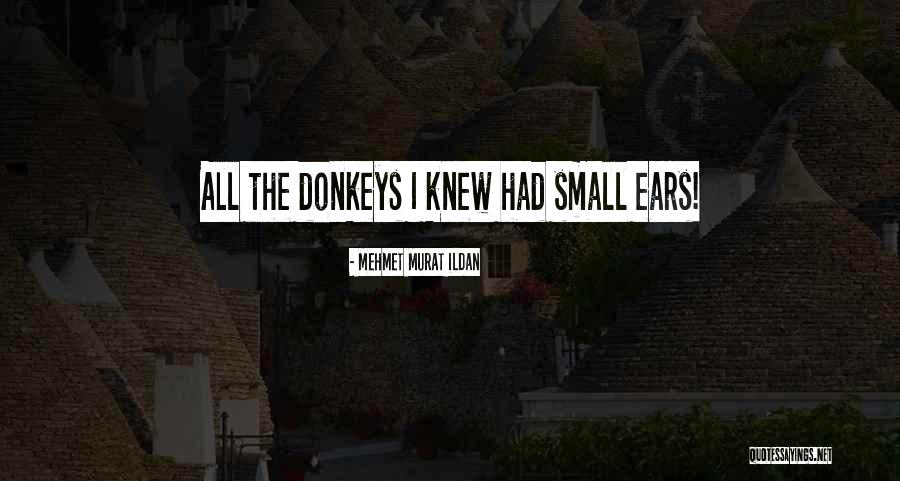 Getting Priorities Right Quotes By Mehmet Murat Ildan Getting Priorities Right Quotes By Mehmet Murat Ildan