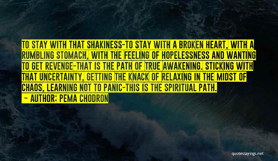 Getting Revenge On Your Ex Quotes By Pema Chodron