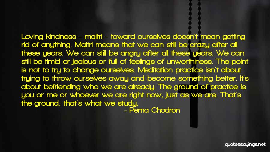 Getting Something Better Quotes By Pema Chodron Getting Something Better Quotes By Pema Chodron