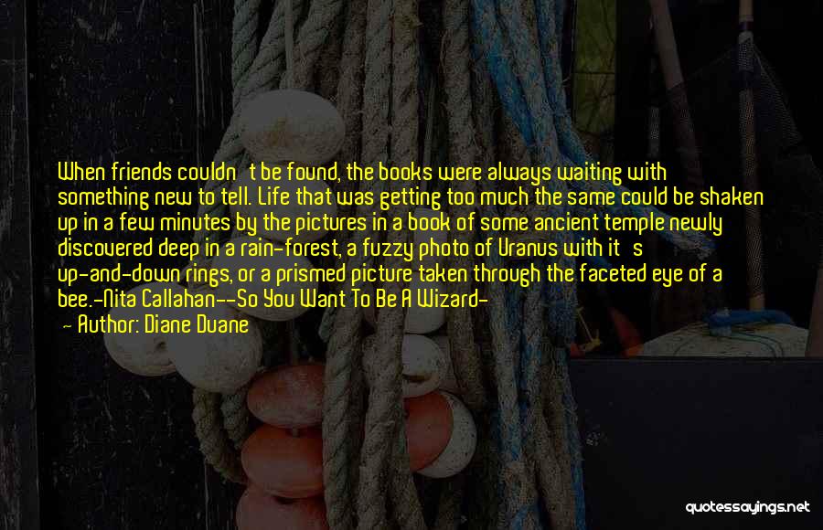 Getting Something You Want Quotes By Diane Duane