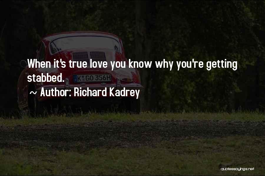 Getting Stabbed Quotes By Richard Kadrey