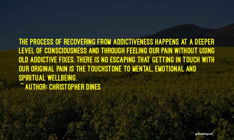 Getting Through Addiction Quotes By Christopher Dines