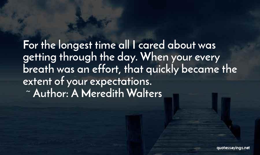 Getting Through One Day At A Time Quotes By A Meredith Walters