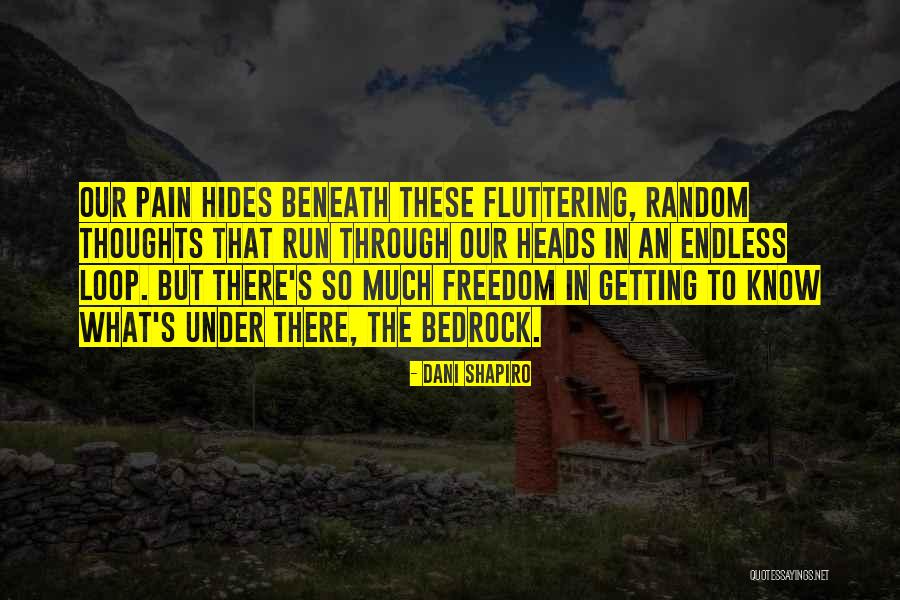 Getting Through Pain Quotes By Dani Shapiro Getting Through Pain Quotes By Dani Shapiro