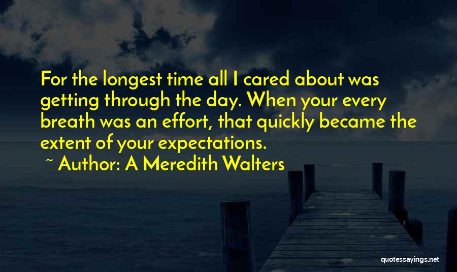 Getting Through The Day Quotes By A Meredith Walters