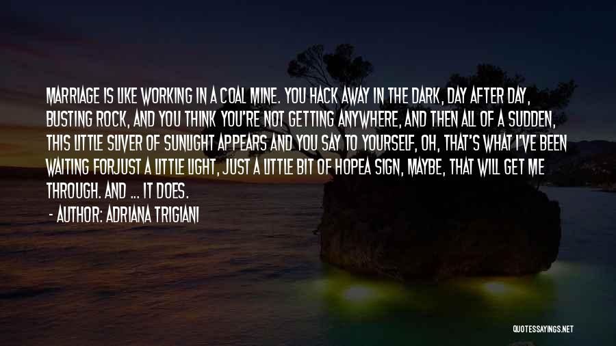 Getting Through The Day Quotes By Adriana Trigiani