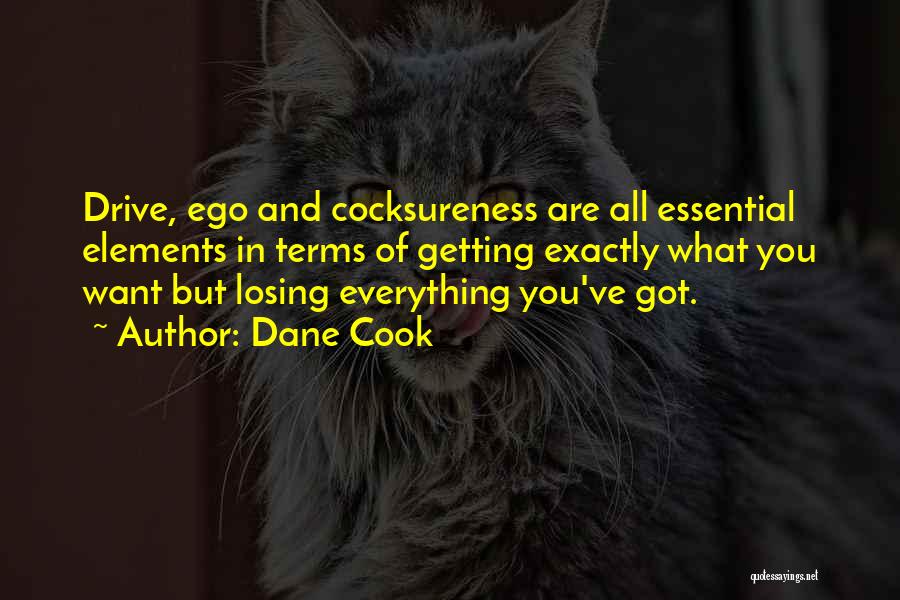 Getting What You Want Quotes By Dane Cook