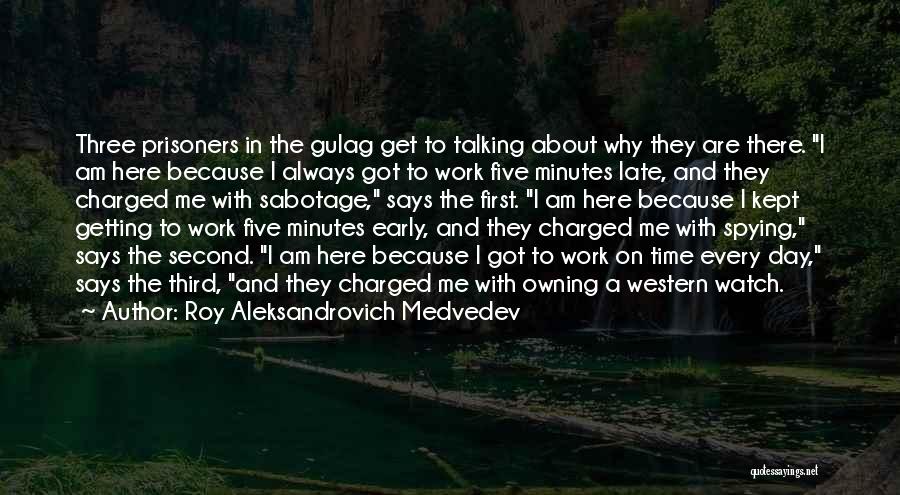 Getting Work Done Early Quotes By Roy Aleksandrovich Medvedev