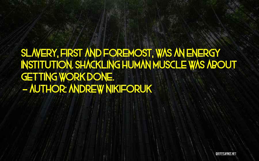 Getting Work Done Quotes By Andrew Nikiforuk