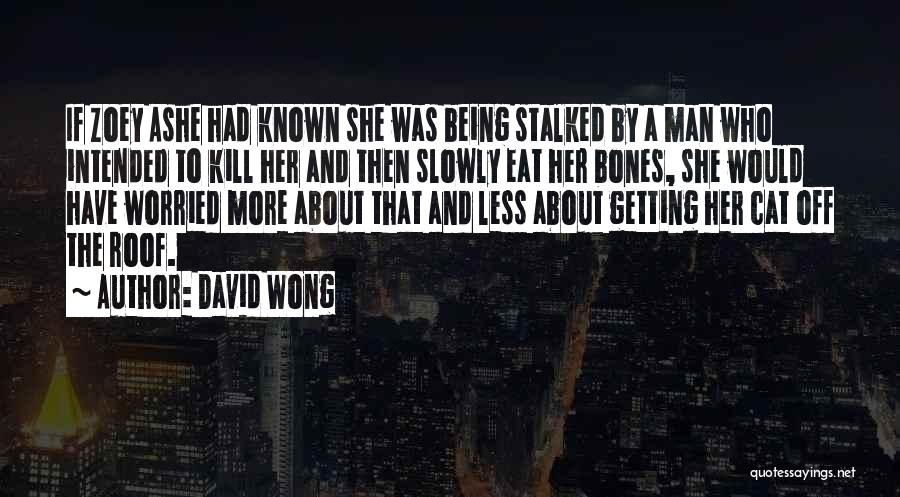 Getting Worried Quotes By David Wong