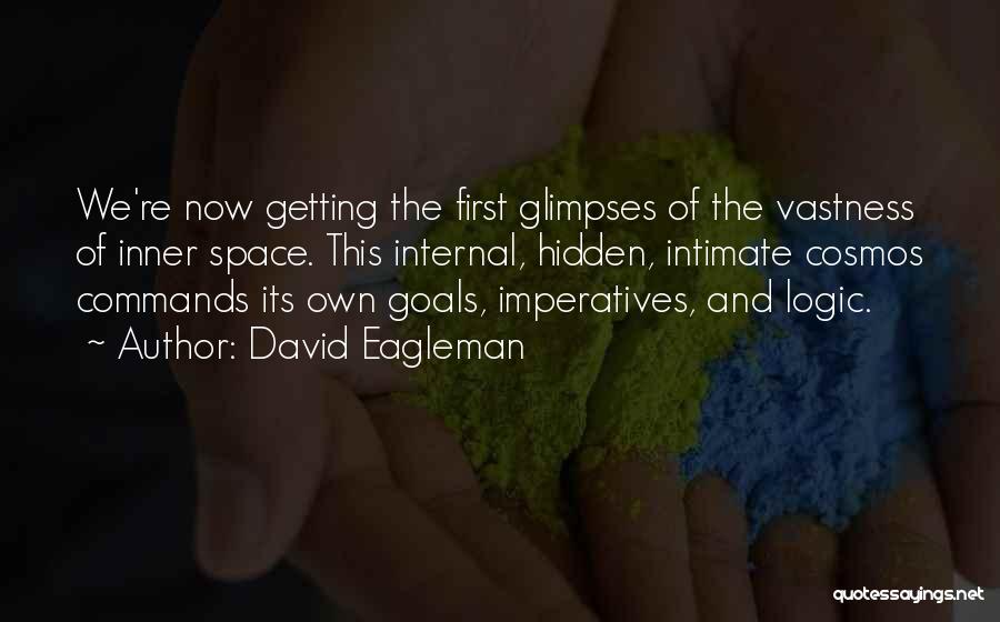 Getting Your Goals Quotes By David Eagleman