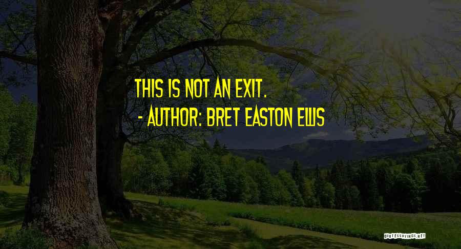 Geweld Quotes By Bret Easton Ellis