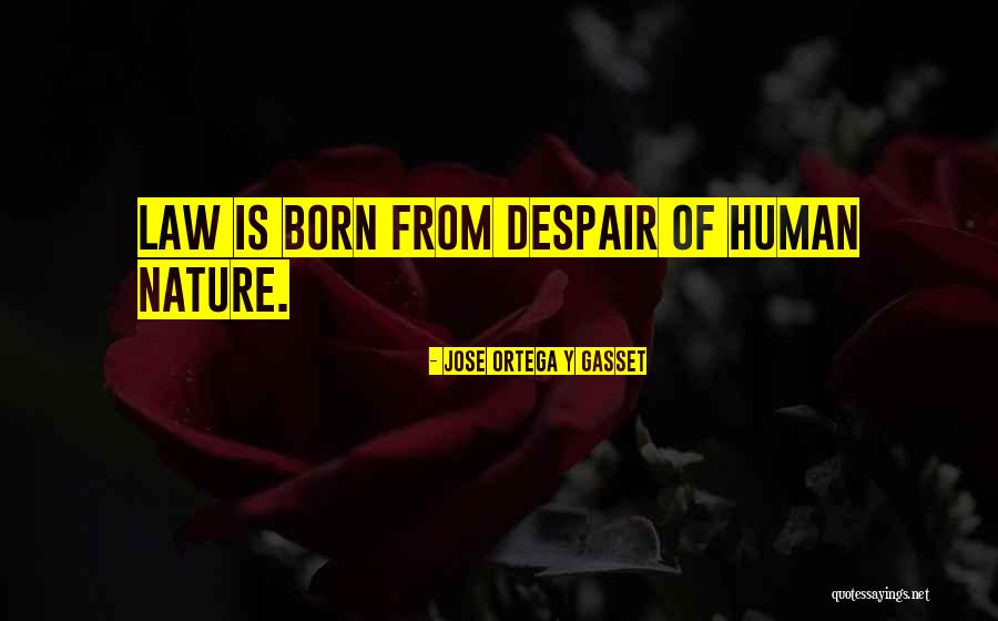 Geweldig Translation Quotes By Jose Ortega Y Gasset Geweldig Translation Quotes By Jose Ortega Y Gasset