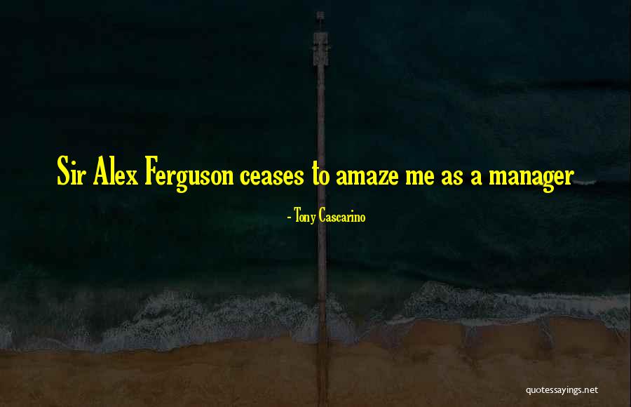 Gewrichten Definitie Quotes By Tony Cascarino Gewrichten Definitie Quotes By Tony Cascarino