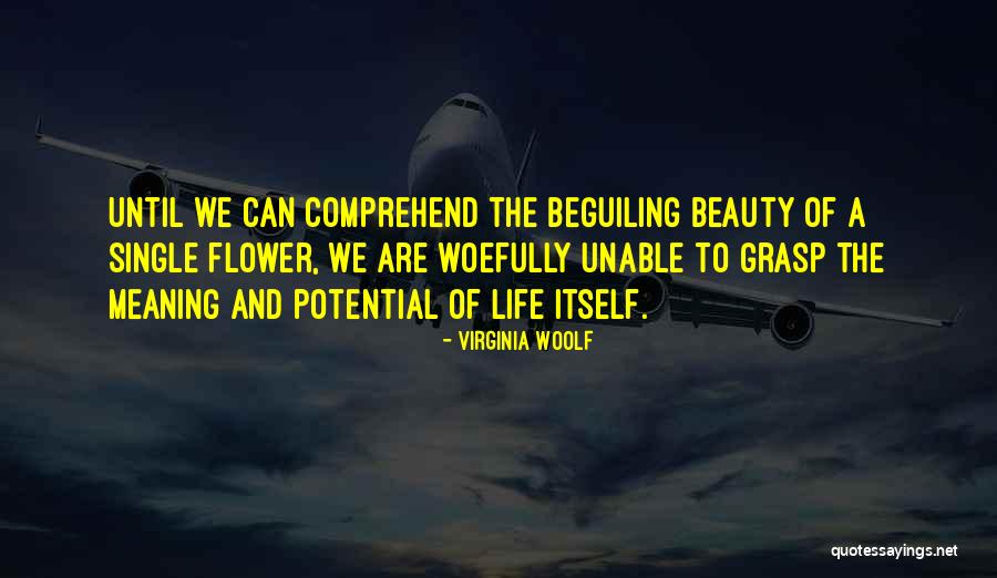 Gex Quotes By Virginia Woolf Gex Quotes By Virginia Woolf