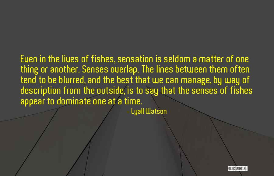 Gezamenlijke Afspeellijst Quotes By Lyall Watson Gezamenlijke Afspeellijst Quotes By Lyall Watson