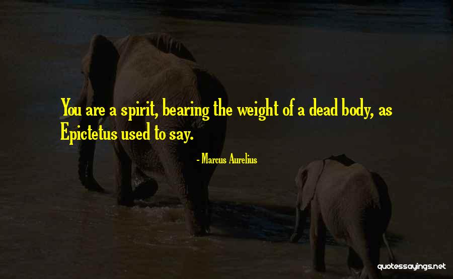 Ggsn Address Quotes By Marcus Aurelius
