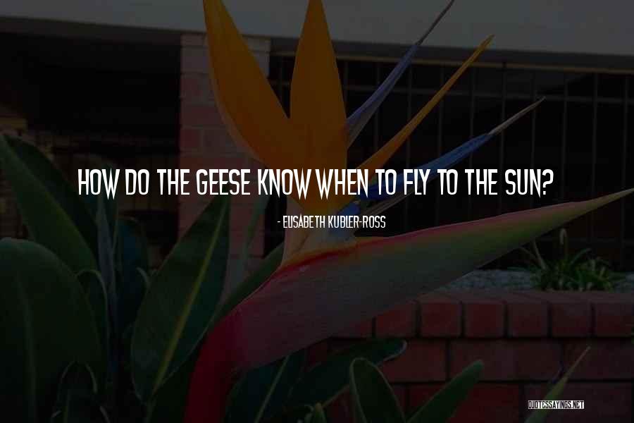Ghaderifard Quotes By Elisabeth Kubler-Ross Ghaderifard Quotes By Elisabeth Kubler-Ross