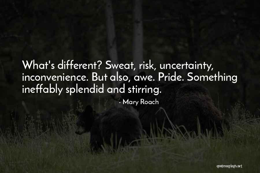 Ghaemmaghami Quotes By Mary Roach Ghaemmaghami Quotes By Mary Roach