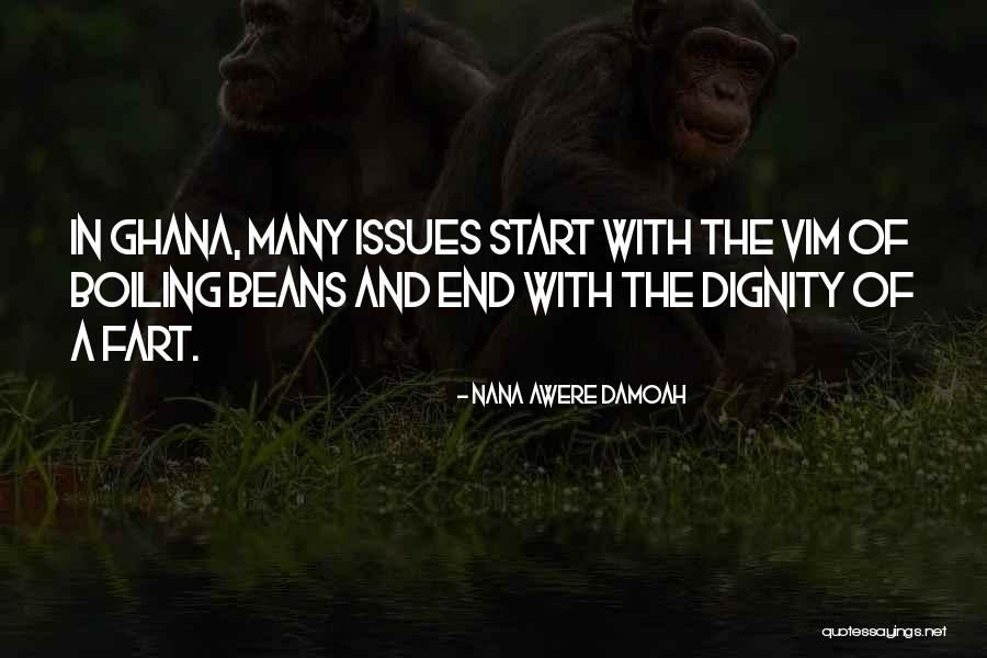 Ghana Quotes By Nana Awere Damoah