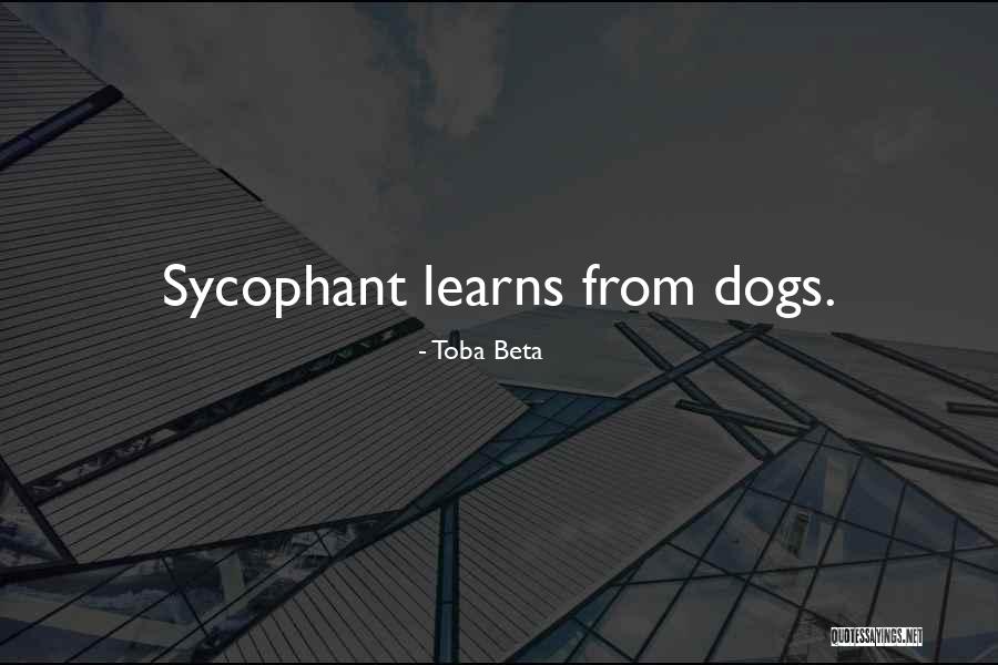 Gheorghita Lipan Quotes By Toba Beta Gheorghita Lipan Quotes By Toba Beta