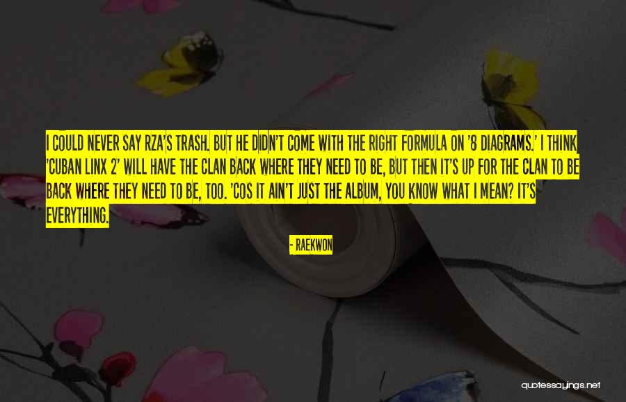 Ghirlande Frunze Quotes By Raekwon Ghirlande Frunze Quotes By Raekwon