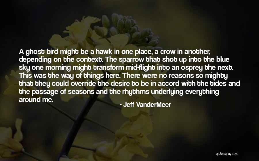 Ghost Hawk Quotes By Jeff VanderMeer Ghost Hawk Quotes By Jeff VanderMeer