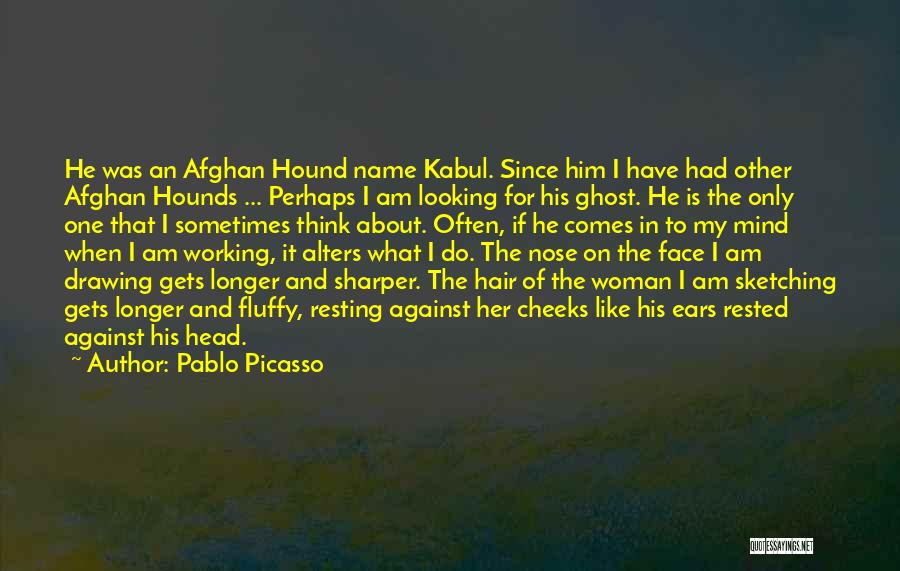 Ghost Hound Quotes By Pablo Picasso