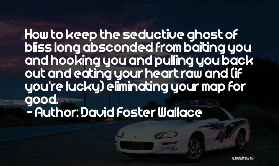 Ghost Map Quotes By David Foster Wallace