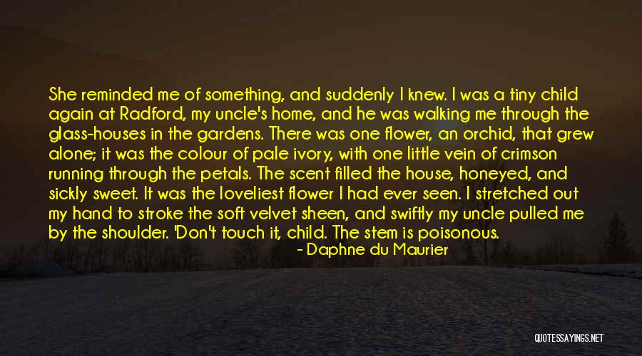 Ghost Marriage Quotes By Daphne Du Maurier Ghost Marriage Quotes By Daphne Du Maurier