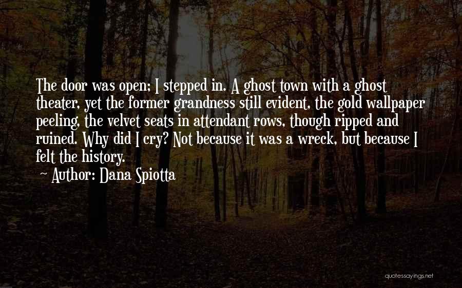 Ghost Town Quotes By Dana Spiotta