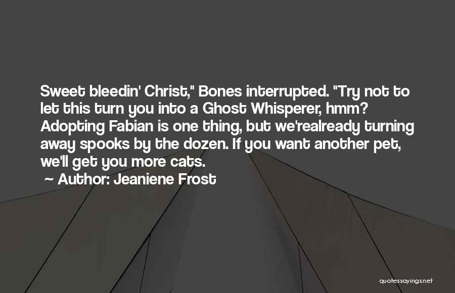 Ghost Whisperer Quotes By Jeaniene Frost