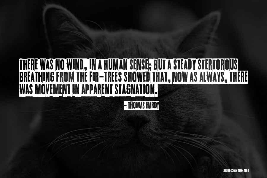 Gi Zli Den Nasil Aranir Quotes By Thomas Hardy Gi Zli Den Nasil Aranir Quotes By Thomas Hardy