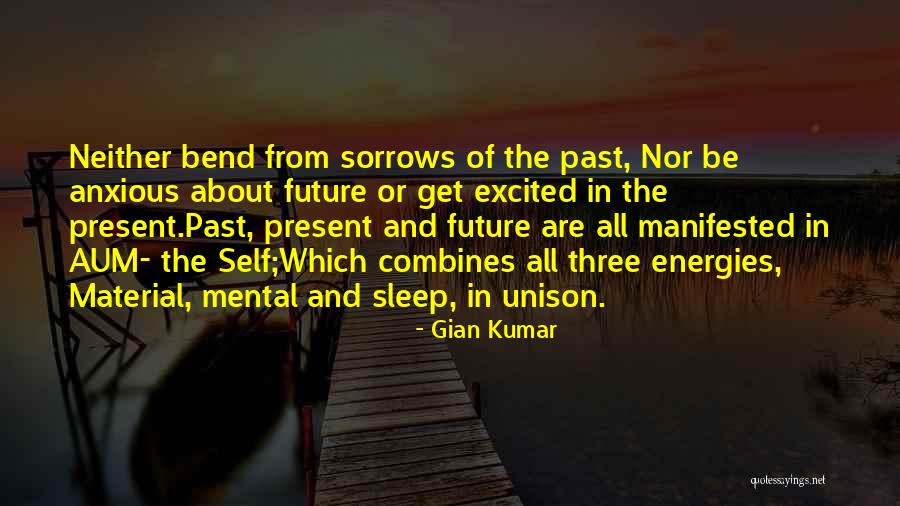 Gian Kumar Quotes 115075 Gian Kumar Quotes 115075