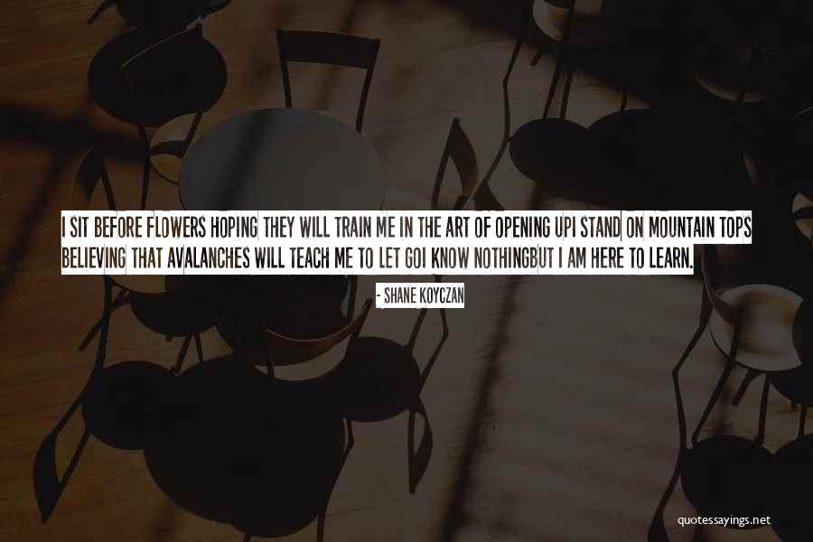 Gianantonio Paladini Quotes By Shane Koyczan Gianantonio Paladini Quotes By Shane Koyczan