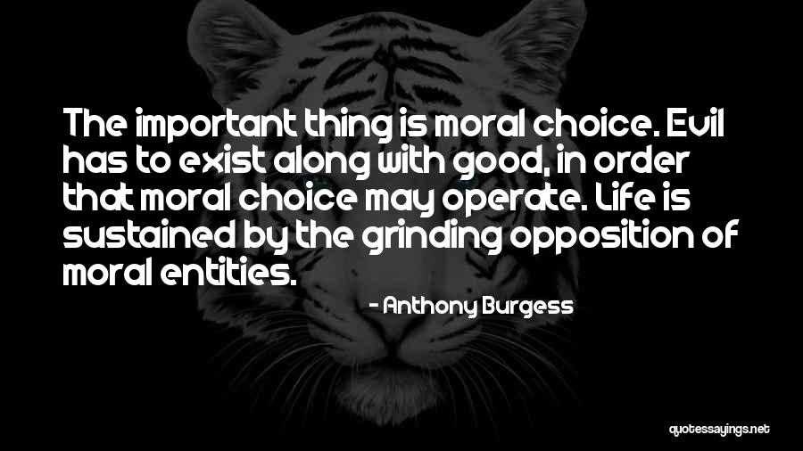Giancana Mafia Quotes By Anthony Burgess Giancana Mafia Quotes By Anthony Burgess