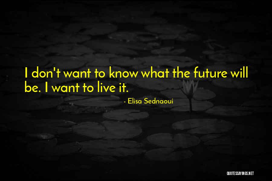 Gianfrancesco Penni Quotes By Elisa Sednaoui Gianfrancesco Penni Quotes By Elisa Sednaoui
